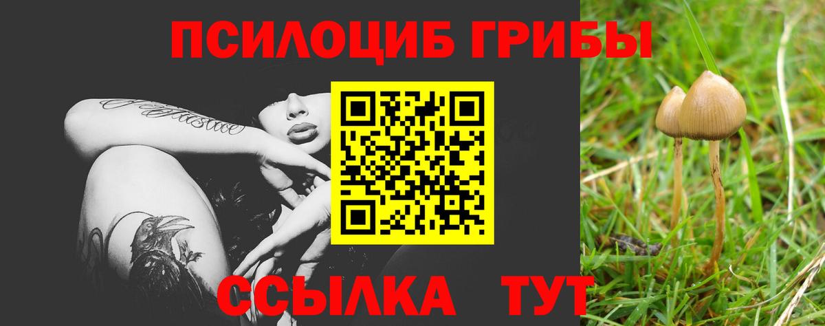 Псилоцибиновые грибы Cubensis  Вход с VPN  Конаково 